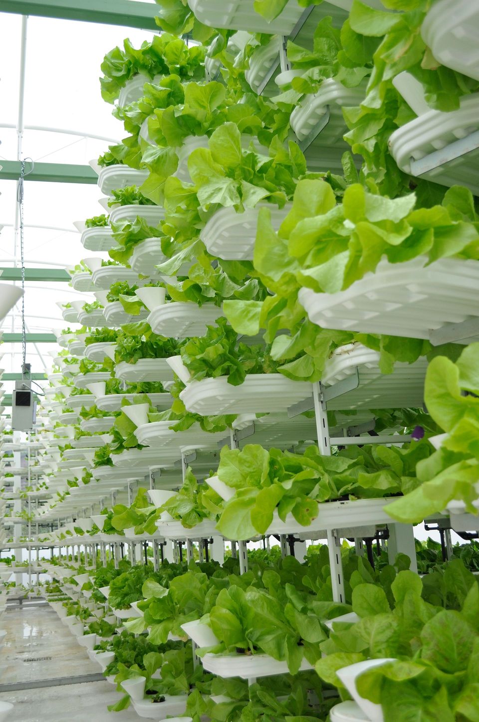 Vertical Farming basics