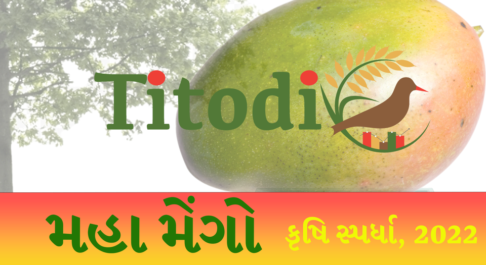 Winners announced for inaugural Maha Mango (મહા મેંગો) Krushi Spardha